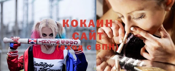 ГАЛЛЮЦИНОГЕННЫЕ ГРИБЫ Белокуриха