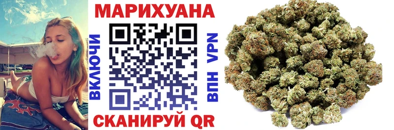 Бошки Шишки планчик  Купить где  Шумиха 