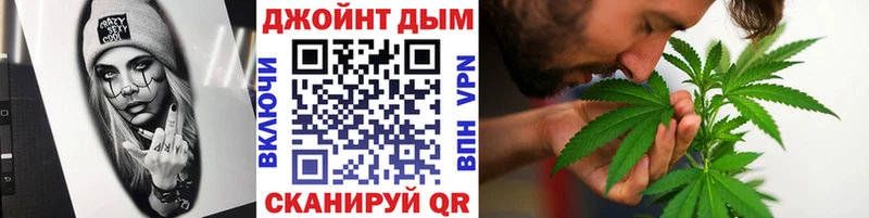Конопля планчик Шумиха